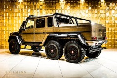 5_of_the_most_special_g_wagens_around_will_cost_over_6_million_05