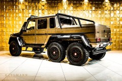 5_of_the_most_special_g_wagens_around_will_cost_over_6_million_05