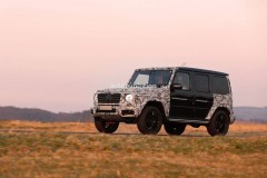 gearing_up_for_change_mercedes_benz_g_class_w463_to_bid_farewell_in_2024_with_anticipated_facelift_13