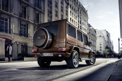 2016_mercedes-amg_g63_mystic_brown_bright_rear