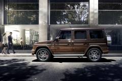 2016_mercedes-amg_g63_mystic_brown_bright_side