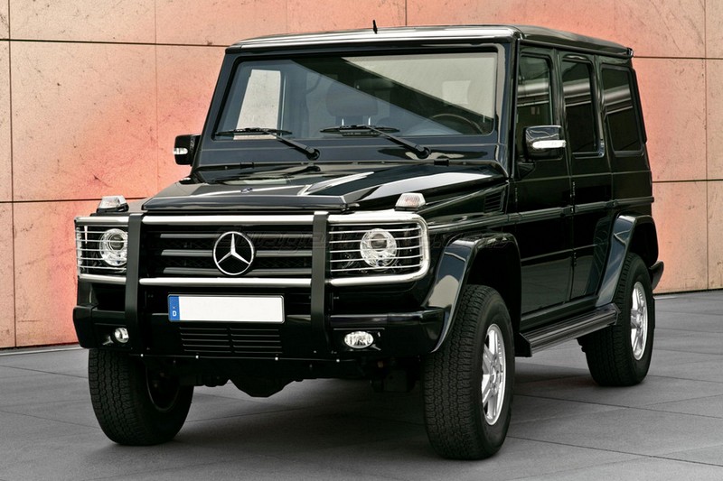 G wagon on sale bull bar